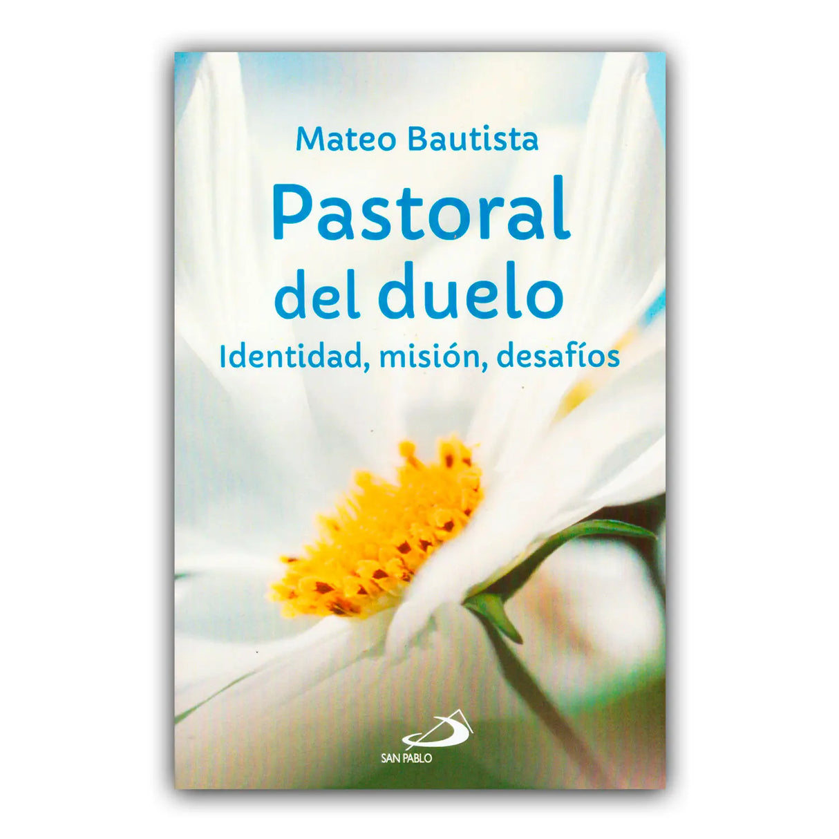 Pastoral del Duelo - Identidad, misión, desafíos