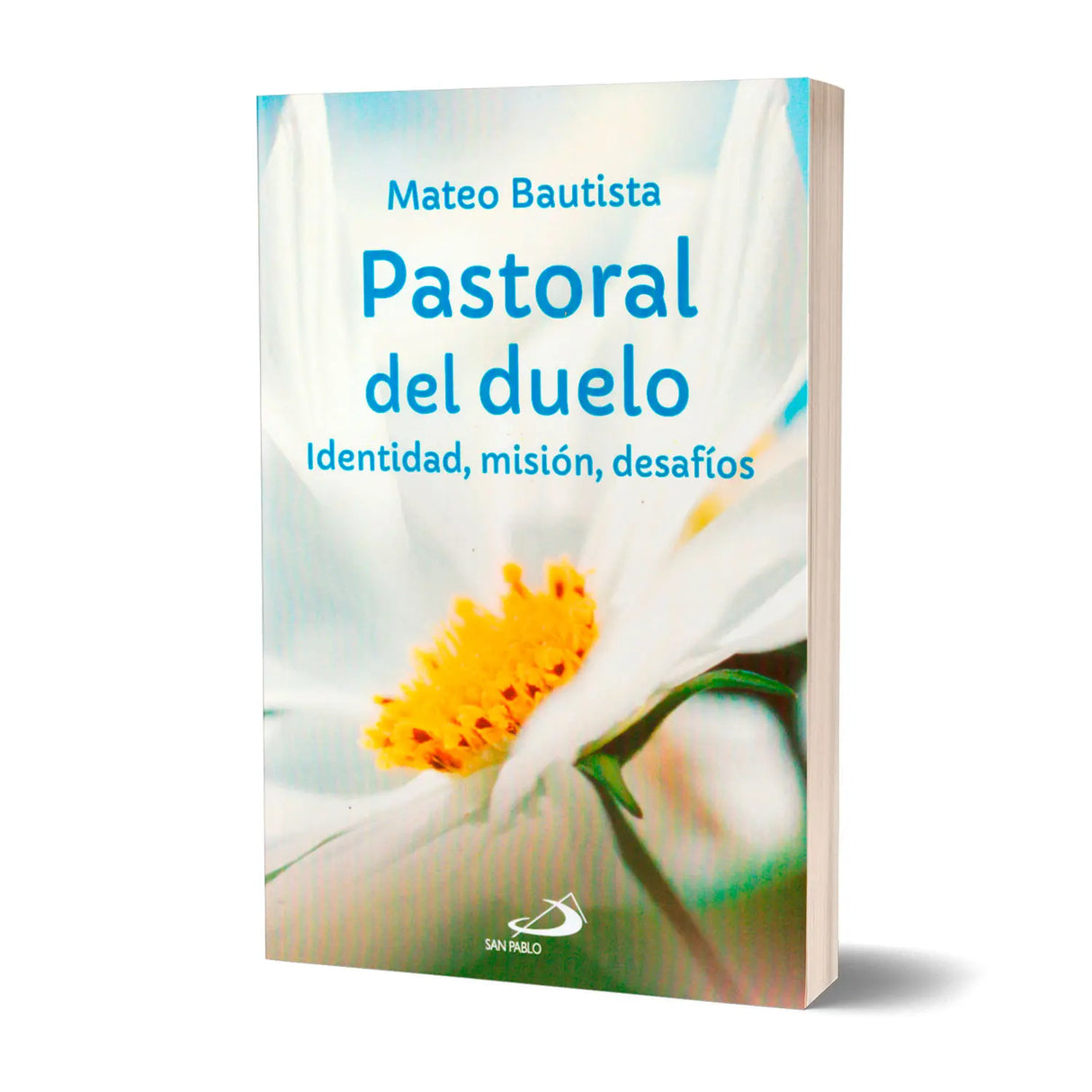 Pastoral del Duelo - Identidad, misión, desafíos