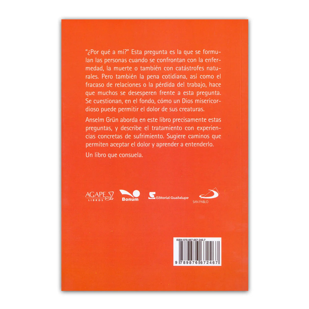 ¿ Por qué a mí? El misterio del dolor y la justicia de Dios