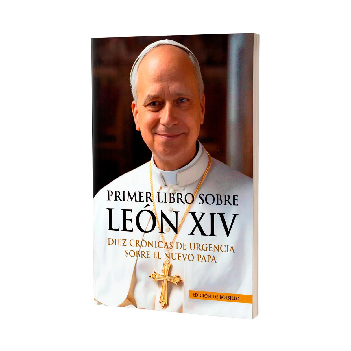 PRIMER LIBRO SOBRE LEON XIV