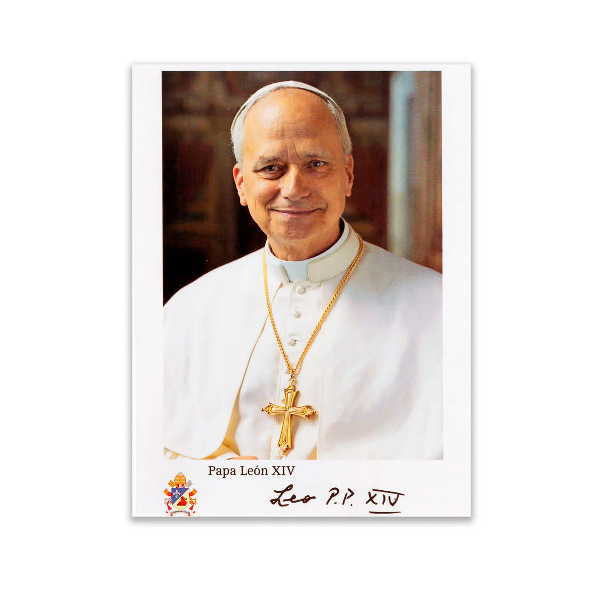 Estampa Postal León XIV ( 10 ejemplares)