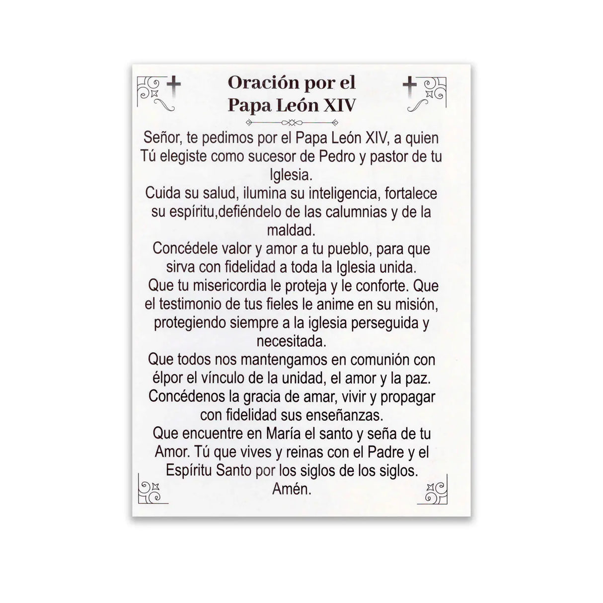 Estampa Postal León XIV ( 10 ejemplares)