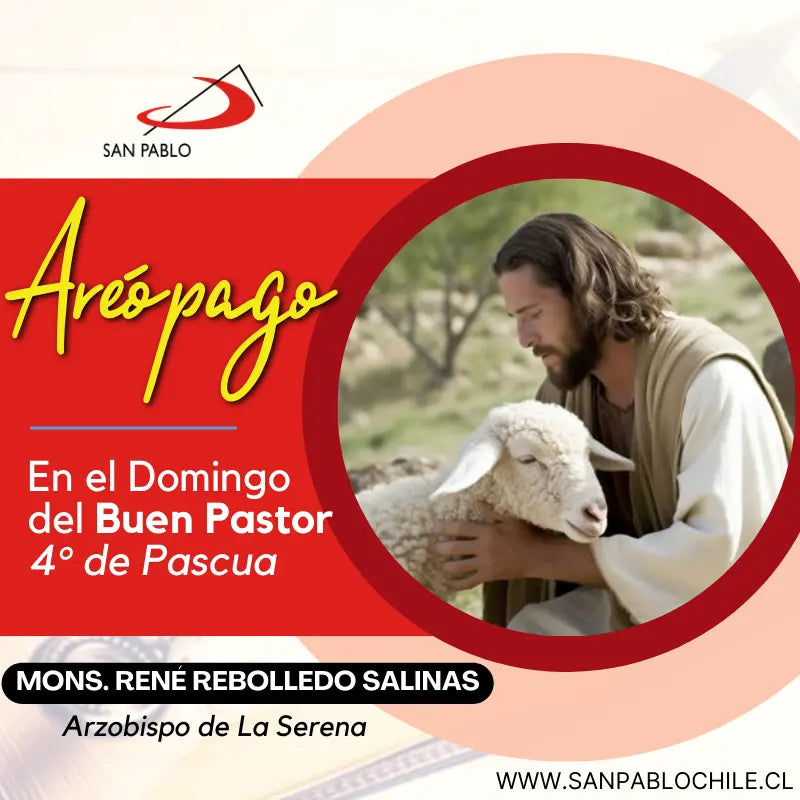 En el Domingo del Buen Pastor - 4° de Pascua