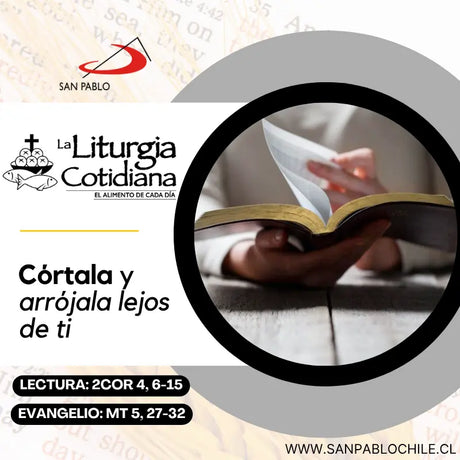 13 de junio: San Antonio de Padua, p. y d. (MO). Blanco.