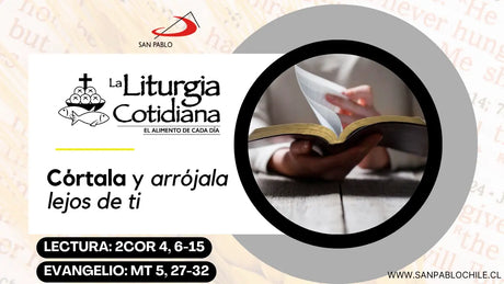 13 de junio: San Antonio de Padua, p. y d. (MO). Blanco.
