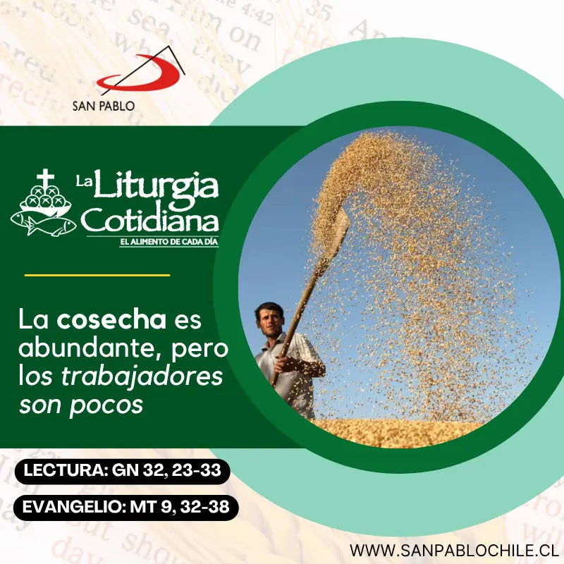 8 de julio: &nbsp;De la feria. Verde.