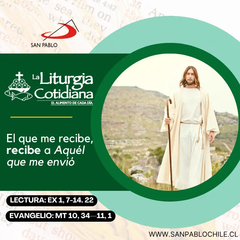 14 de julio: De la feria. Verde. San Camilo de Lelis, p. (ML). Blanco.