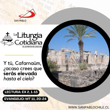 15 de julio: San Buenaventura, o. y d. (MO). Blanco.