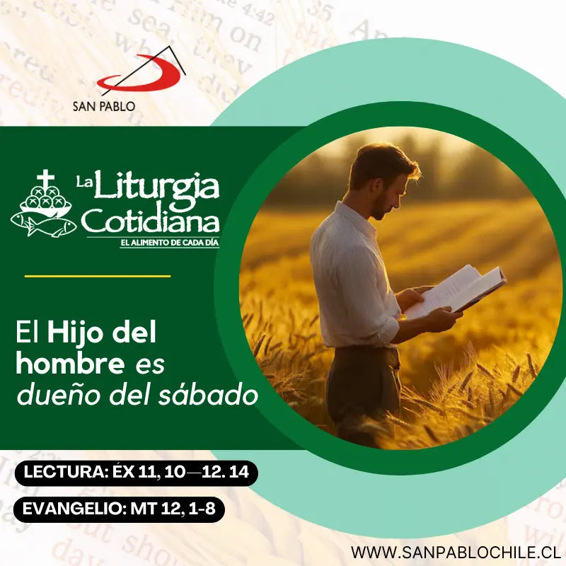 18 de julio: De la feria. Verde.