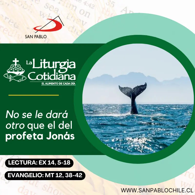 21 de julio: De la feria, Verde.
