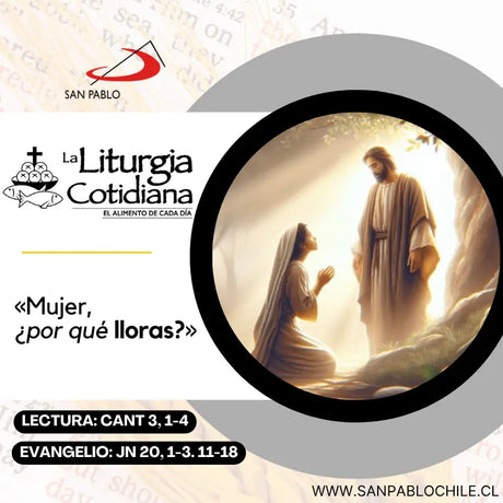 22 de julio: SANTA MARÍA MAGDALENA (F). Blanco.
