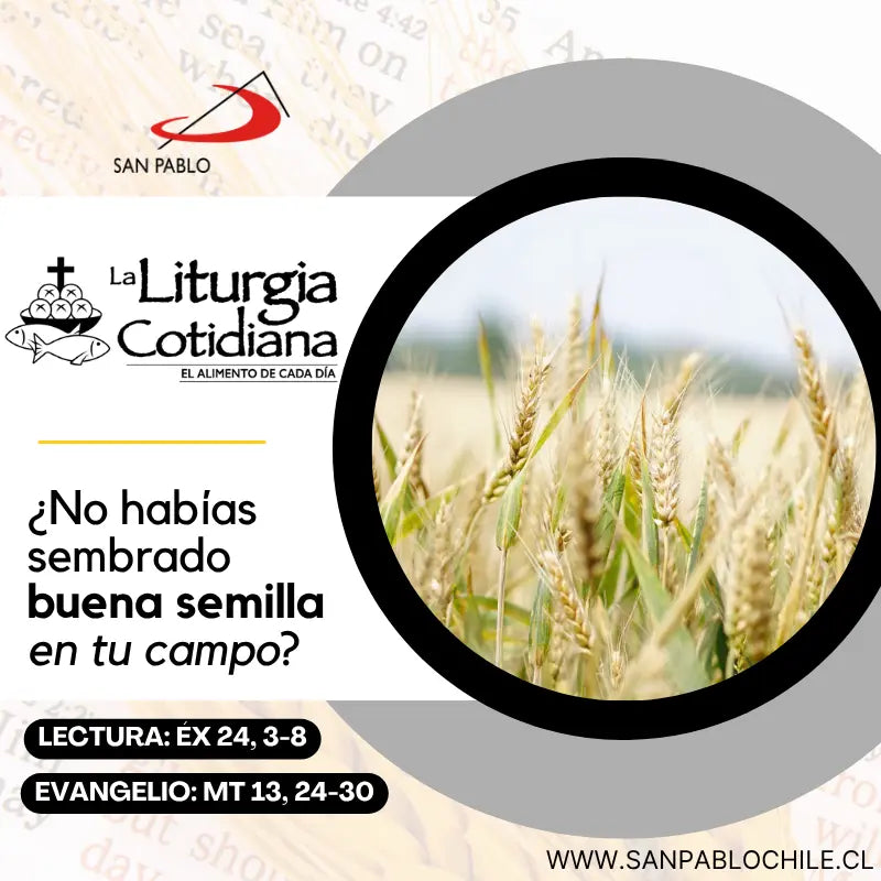 26 de julio: Santos Joaquín y Ana, padres de la Virgen María (MO). Blanco.