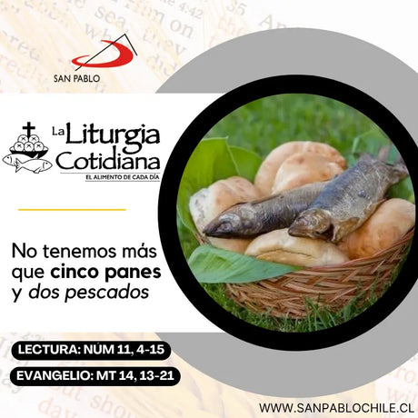 4 de agosto: San Juan María Vianney, p. (MO). Blanco.