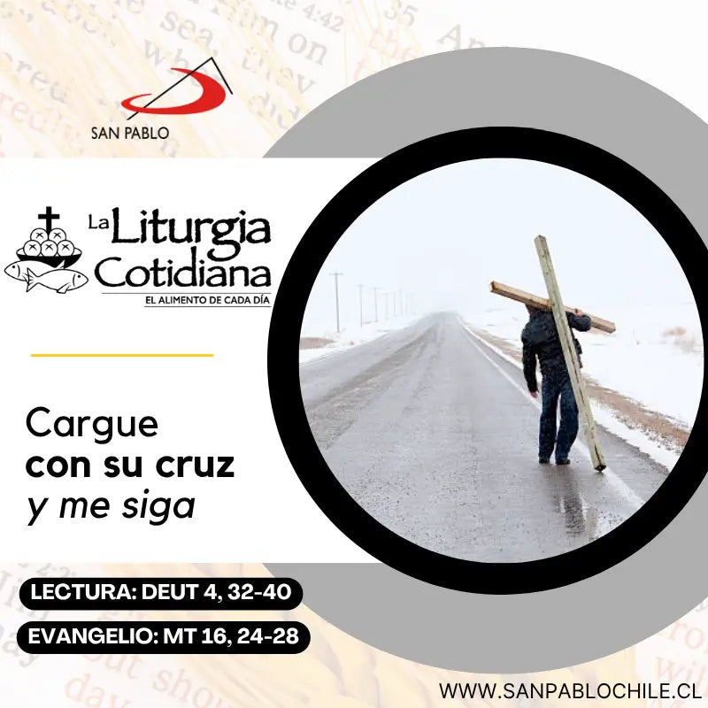 8 de agosto: Santo Domingo de Guzmán, p. (MO). Blanco.