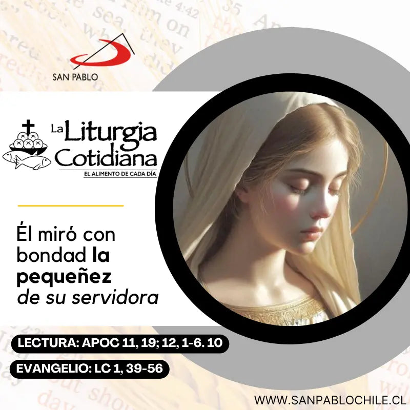 15 de agosto: LA ASUNCIÓN DE LA VIRGEN MARÍA (S). Blanco.