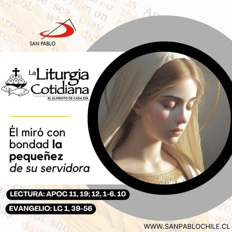 15 de agosto: LA ASUNCIÓN DE LA VIRGEN MARÍA (S). Blanco.