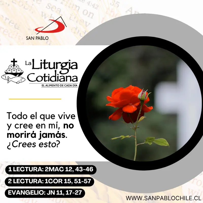 2 de noviembre: Conmemoración de todos los fieles difuntos. Morado o Negro.