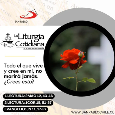 2 de noviembre: Conmemoración de todos los fieles difuntos. Morado o Negro.