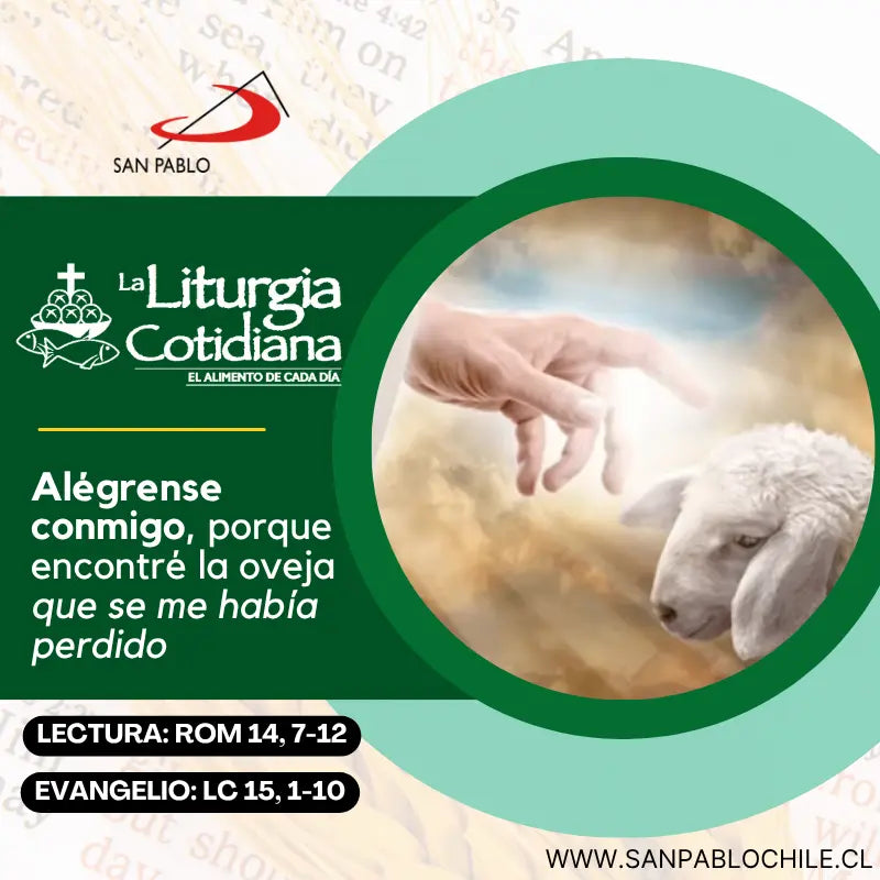 6 de noviembre: De la feria. Verde.