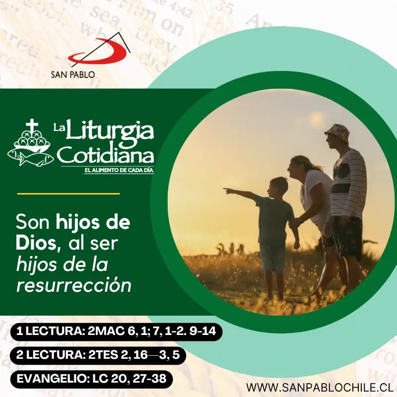 9 de noviembre: 32 durante el año