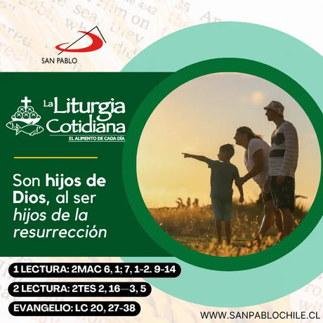 9 de noviembre: 32 durante el año