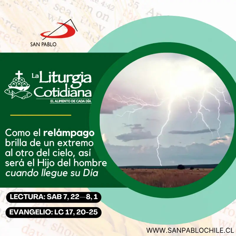 13 de noviembre: De la feria. Verde.