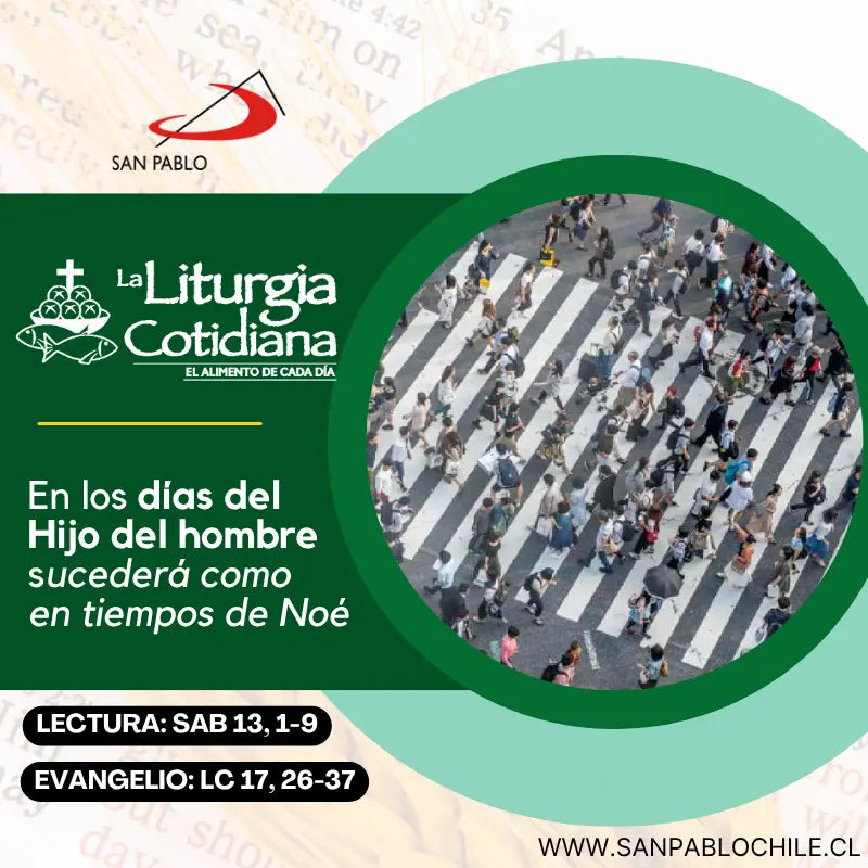 14 de noviembre: De la feria. Verde.