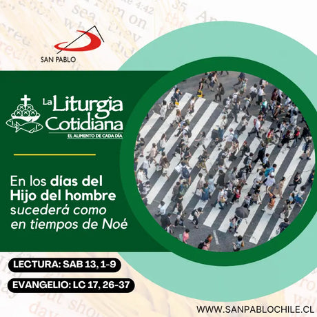 14 de noviembre: De la feria. Verde.