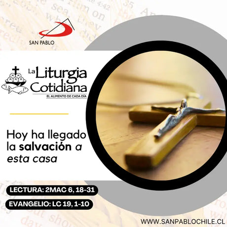 18 de noviembre: De la feria. Verde. Dedicación de las Basílicas de san Pedro y de san Pablo (ML). Blanco.