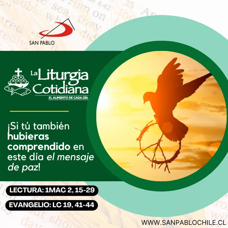 20 de noviembre: De la feria. Verde.