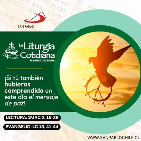 20 de noviembre: De la feria. Verde.