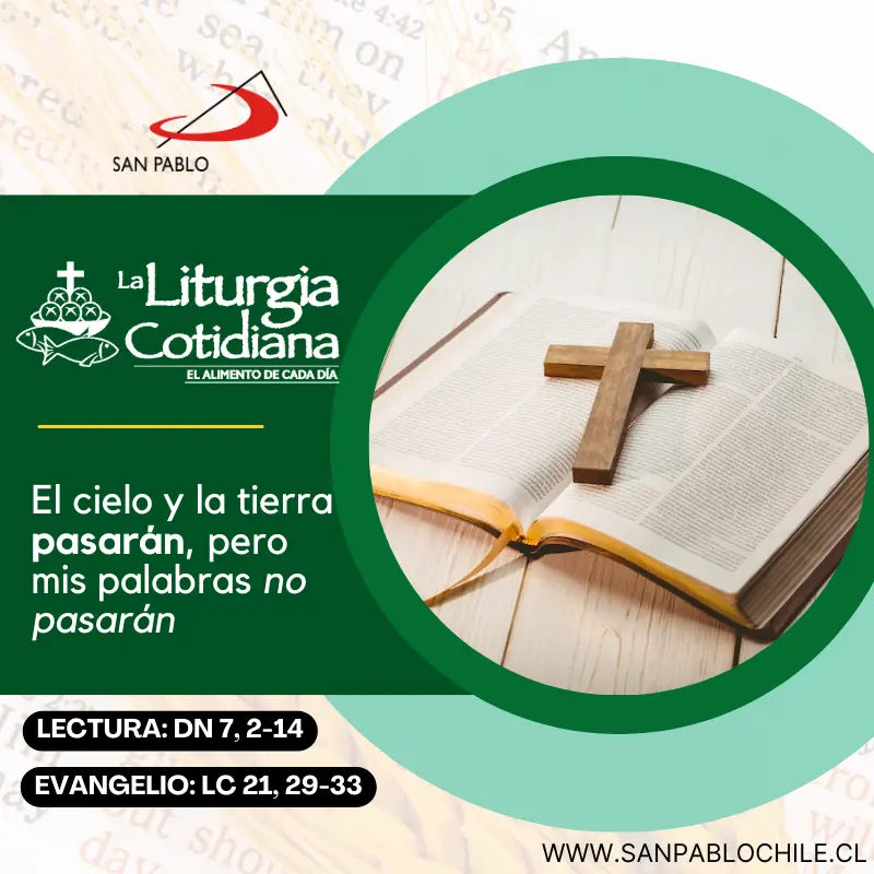 28 de noviembre: De la feria. Verde.