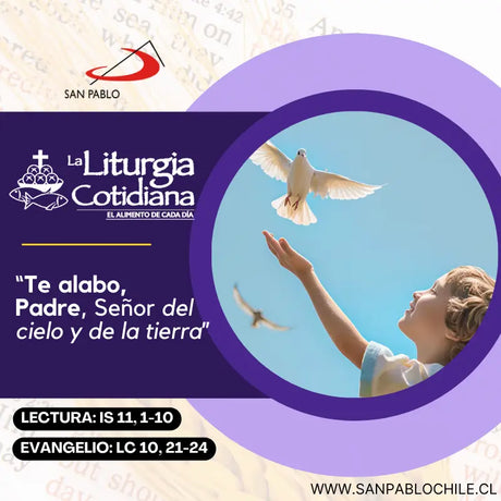 2 de diciembre: De la feria. Morado.