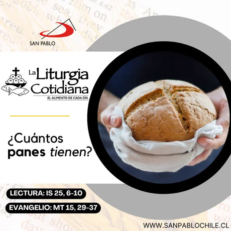 3 de diciembre: San Francisco Javier, p. (MO). Blanco.