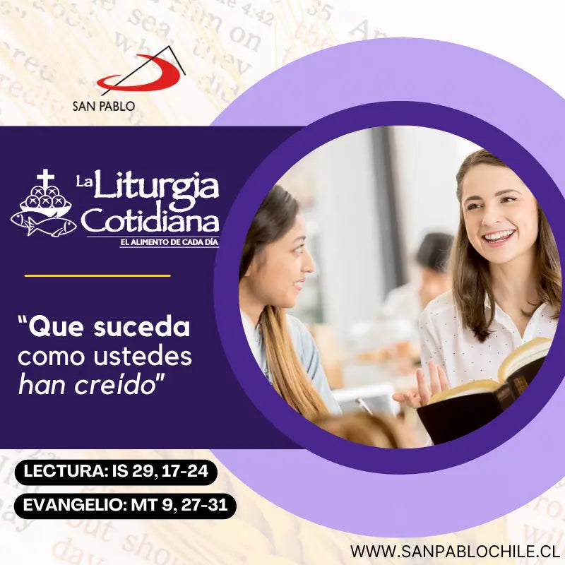 5 de diciembre: De la feria. Morado.