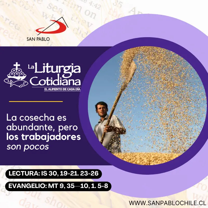 6 de diciembre: De la feria. Morado. San Nicolás de Bari, o. (ML). Blanco.