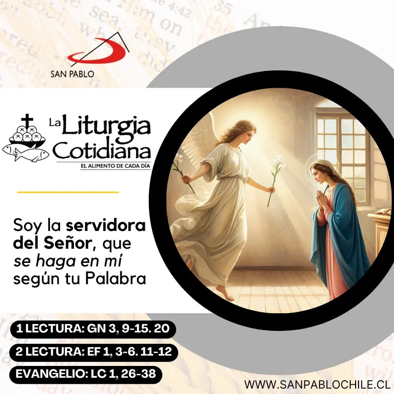 8 de diciembre: LA INMACULADA CONCEPCIÓN DE LA SANTÍSIMA VIRGEN MARÍA (S). Blanco.