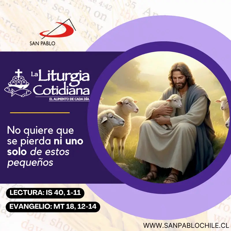 9 de diciembre: De la feria. Morado. San Juan Diego de América (MO). Blanco.