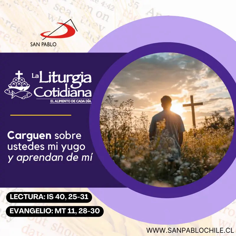 10 de diciembre: De la feria. Morado.