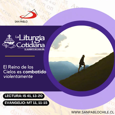 11 de diciembre: De la feria. Morado. San Dámaso I, pa. (ML). Blanco.