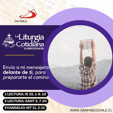 14 de diciembre: 3° de Adviento. Morado o Rosado.