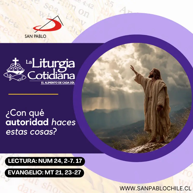 15 de diciembre: De la feria. Morado.