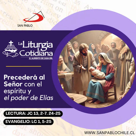 19 de diciembre: De la feria. Morado