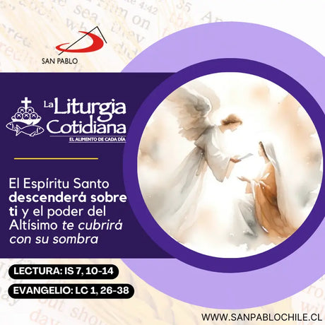 20 de diciembre: De la feria. Morado