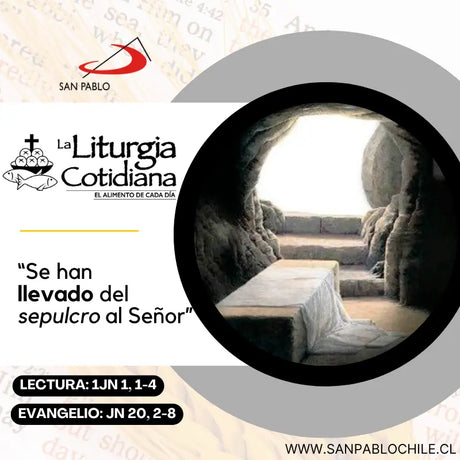 27 de diciembre: SAN JUAN, ap. y ev. (F). Blanco.