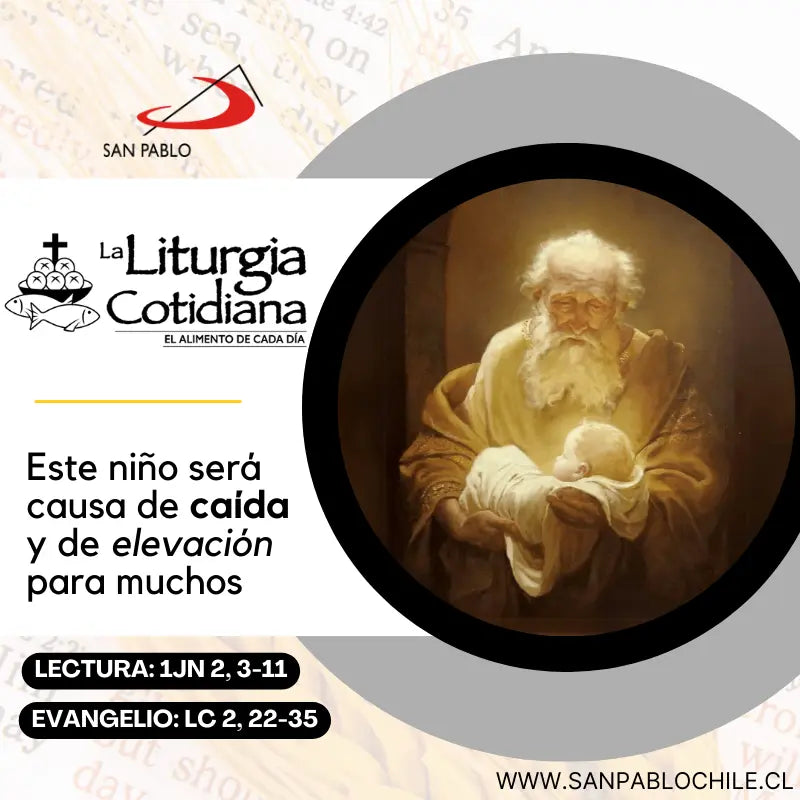 29 de diciembre: DÍA QUINTO DENTRO DE LA OCTAVA DE NAVIDAD. Blanco.