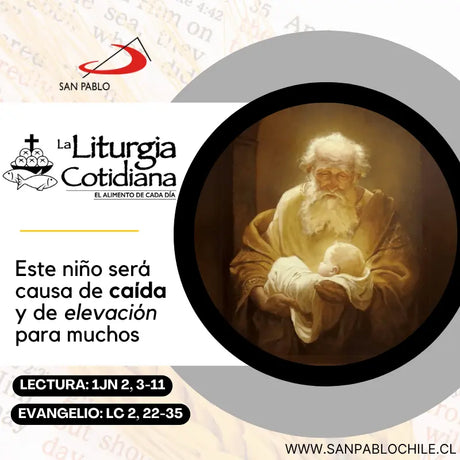 29 de diciembre: DÍA QUINTO DENTRO DE LA OCTAVA DE NAVIDAD. Blanco.