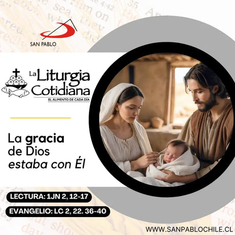 30 de diciembre: DÍA SEXTO DENTRO DE LA OCTAVA DE NAVIDAD. Blanco.