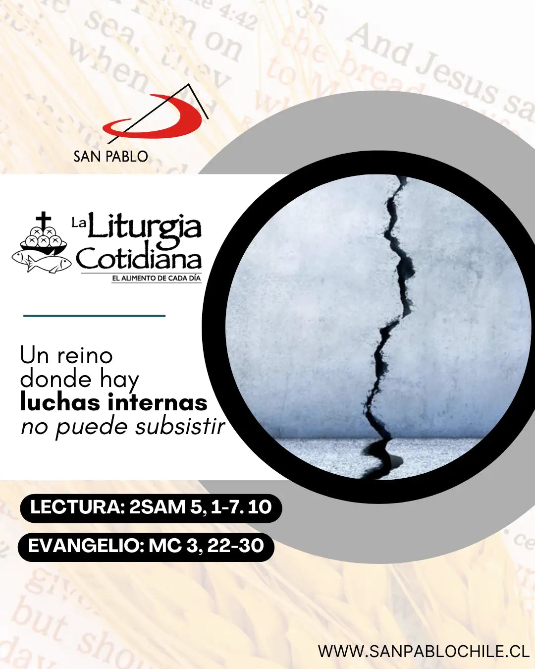 26 de enero: Santos Timoteo y Tito, os. (MO). Blanco
