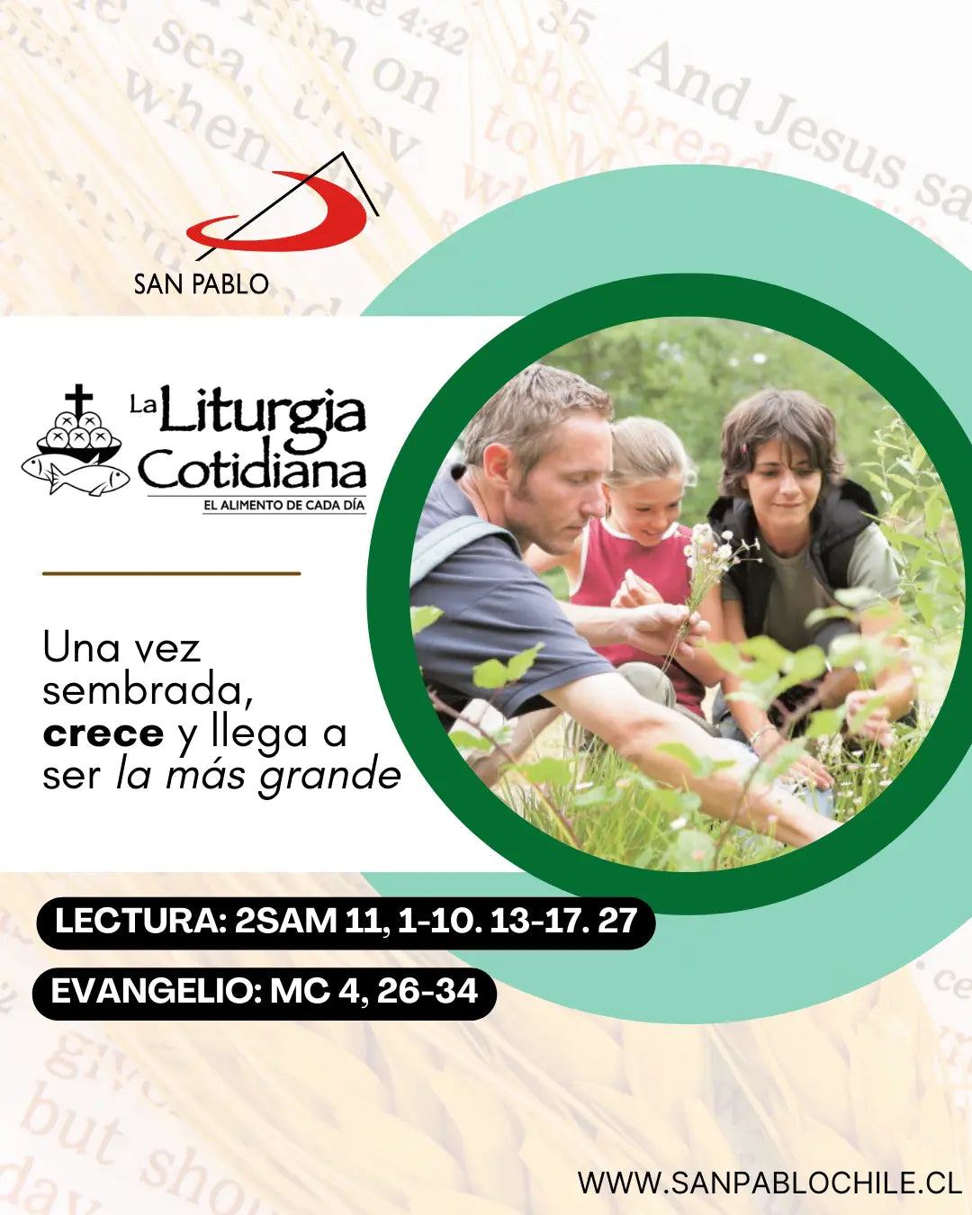 30 de enero: De la feria. Verde